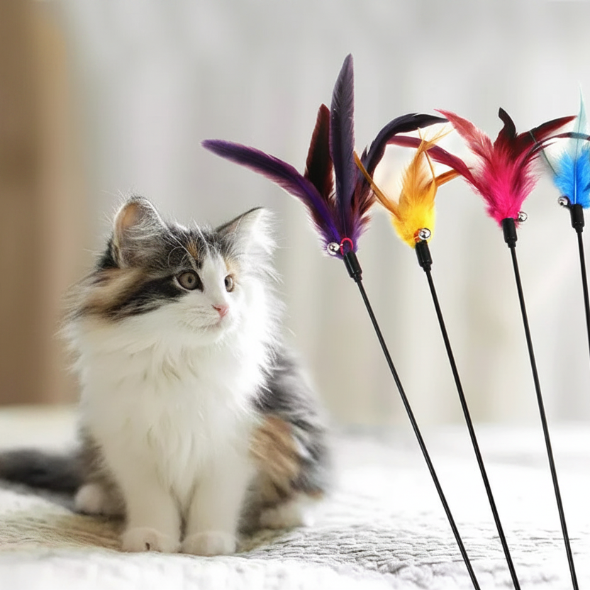 Cat Feather Wand Hero Banner